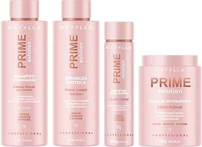 PRIME SOLUTION PROFISSIONAL.png