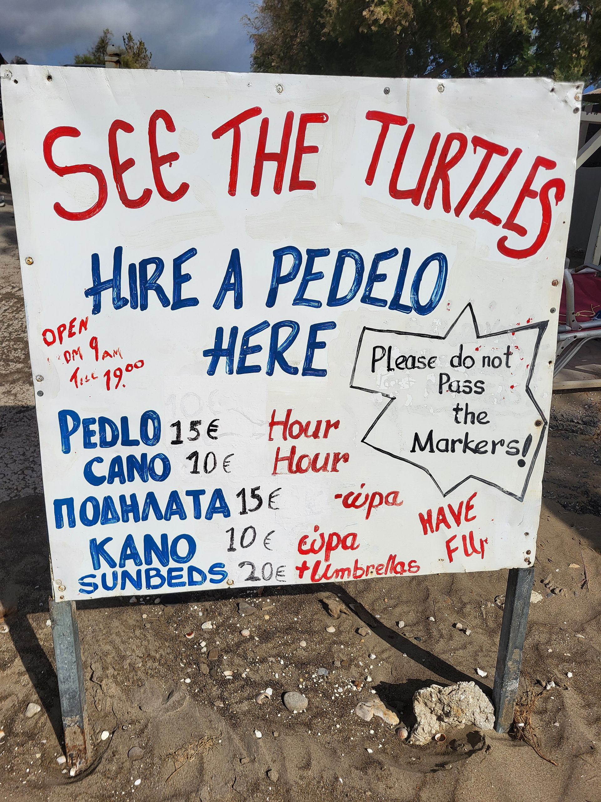volunteers protecting turtles on Zakynthos