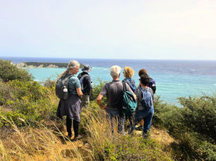 Wandelen op Zakynthos: ontdek het eiland dat de meeste bezoekers nooit zien 🌿