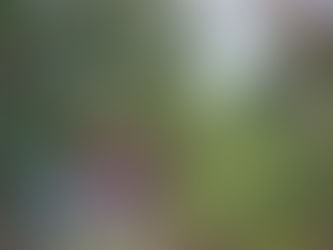 Experience Hikes Walking Holidays | Discover Culture & History