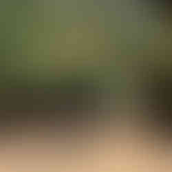 Wandelvakantie tussen de olijfbomen op Zakynthos