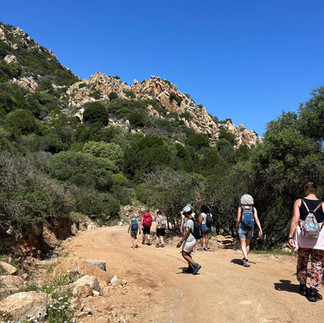 Groep wandelaars op bergpad met uitzicht