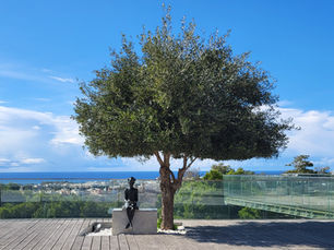Cyprus wandelvakantie in de zon, door de bergen en langs de zee