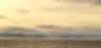 home page test.JPG