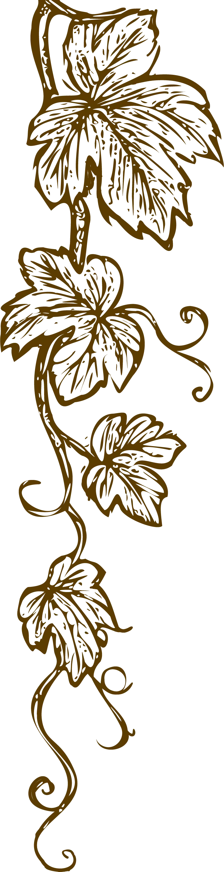 Frnz 2- 150ppi-Mir.webp