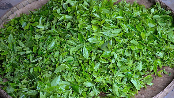 tea-leaves-4835237_1280.jpg
