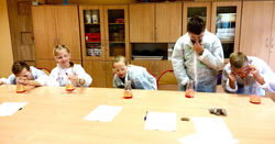 29251071_10216609985468378_2021512822_o