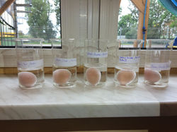 29391161_10216609989428477_537599354_o