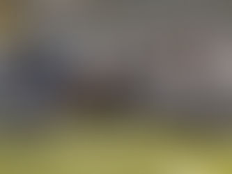 Rambler JV Falls to McDowell