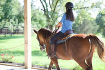 IMG_7144.jpeg