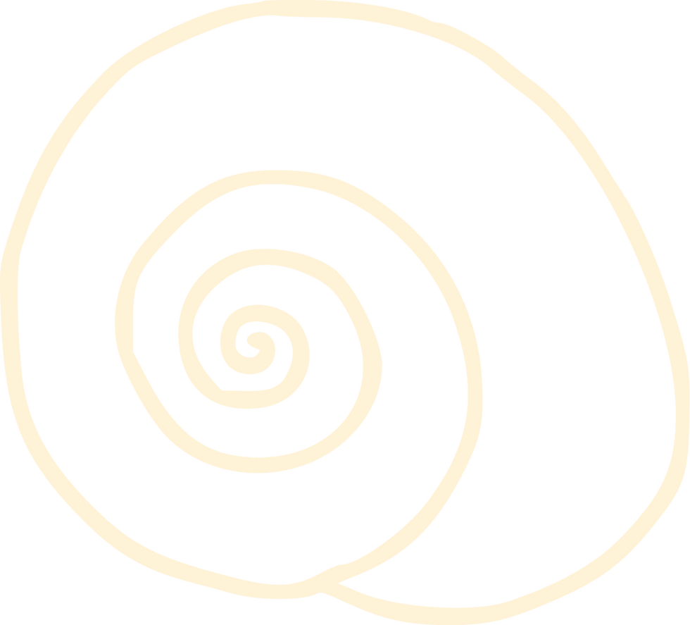 SHELL CREAM.png