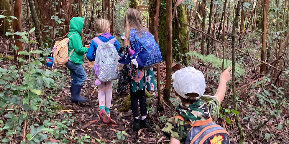 Mauka-Makai Nature Connection Learning Pod in Waimea (Ages 5-12) (1)