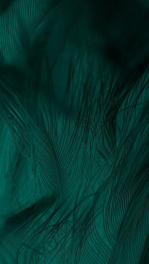 shutterstock_1030826287.jpg