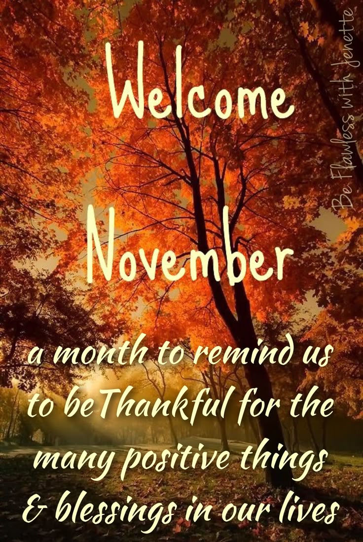 NOVEMBER 2026 FOCUS