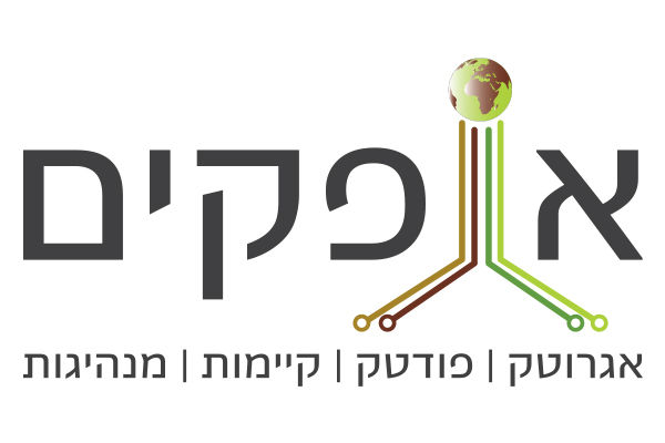 עיצוב לוגו