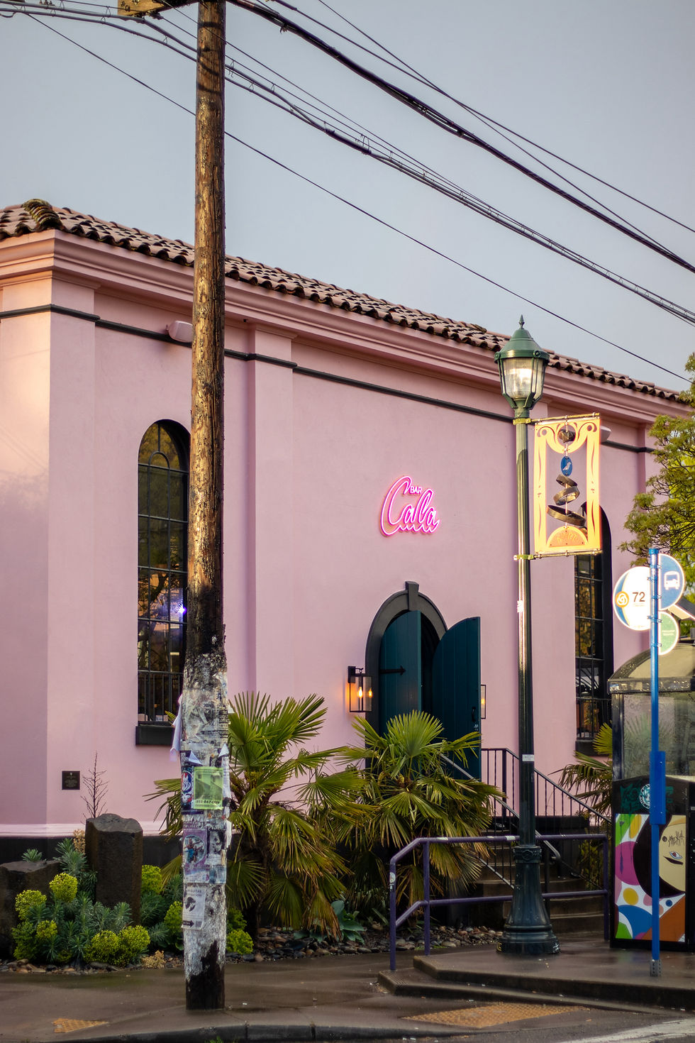 Ariana album release | Bar Cala