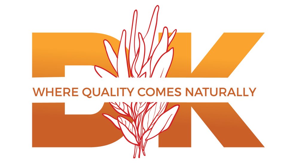 DKI I Logo Color Option