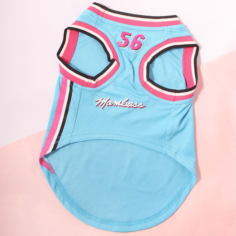 Thumbnail: Personalize Pet Basketball Miami Jersey - Momboss Baby Blue