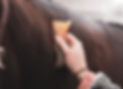 _edited.png