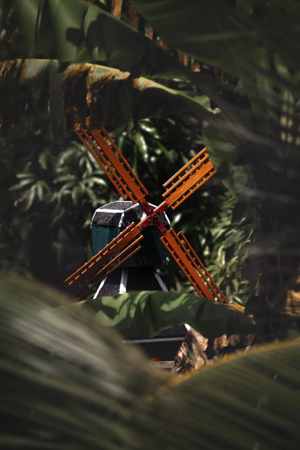 Jungle Wind Mill, Laarwijk.jpg