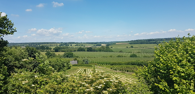 Tibbs farm view.png