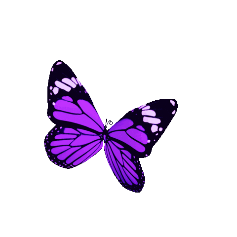 giphy (1).gif