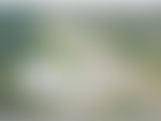 High, middle, and low-income homes to be developed on 2000 acres of land along East Coast - Pres.