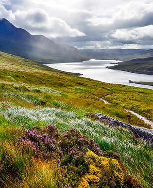 Scottish highlands 2.jpg