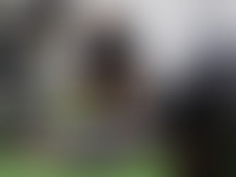 Why Your Strength and Conditioning Program Doesn’t Work for Your Sport