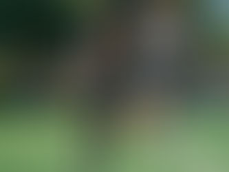 How to Make Your Kid Faster