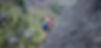 where_to_buy_header.jpg