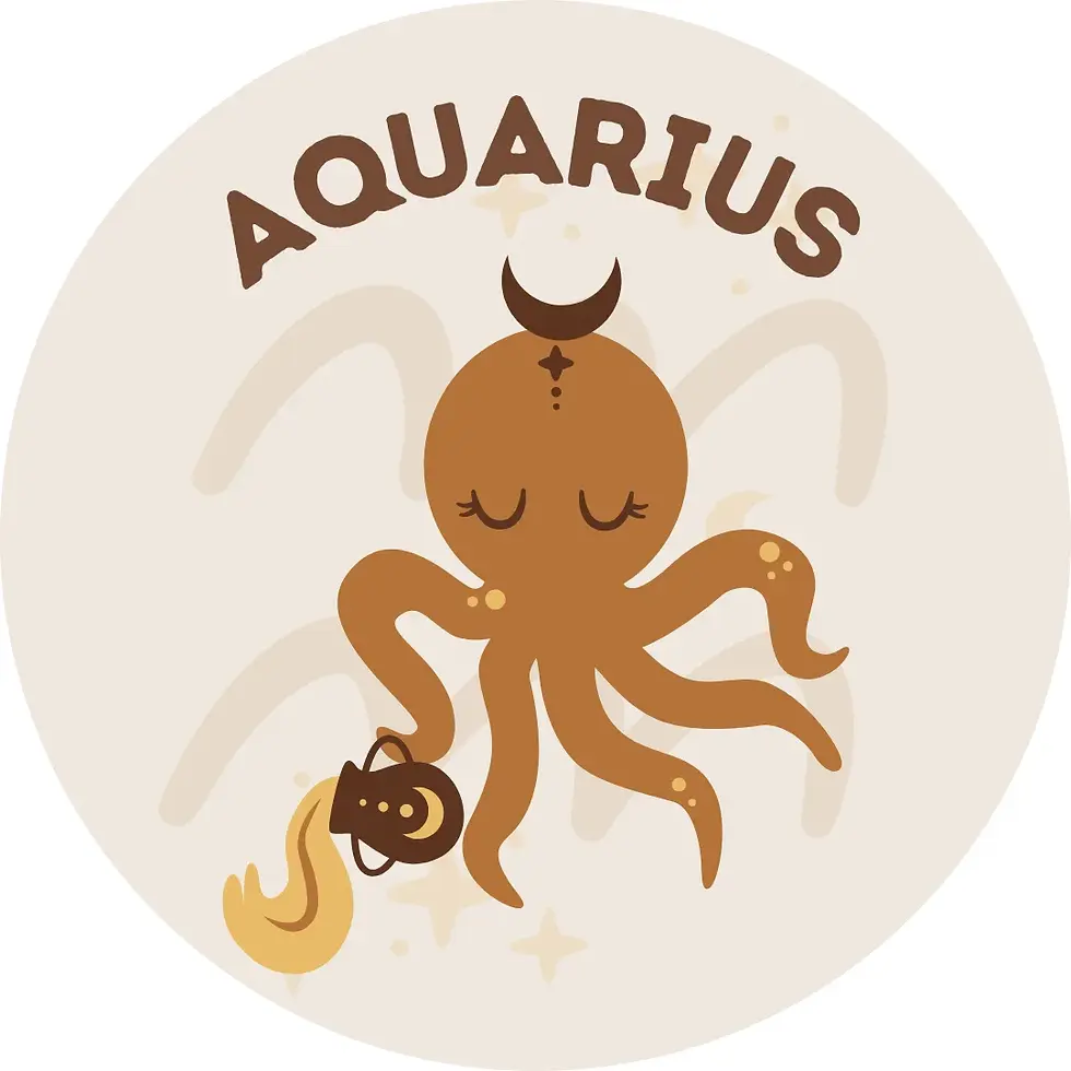 Aquarius zodiac