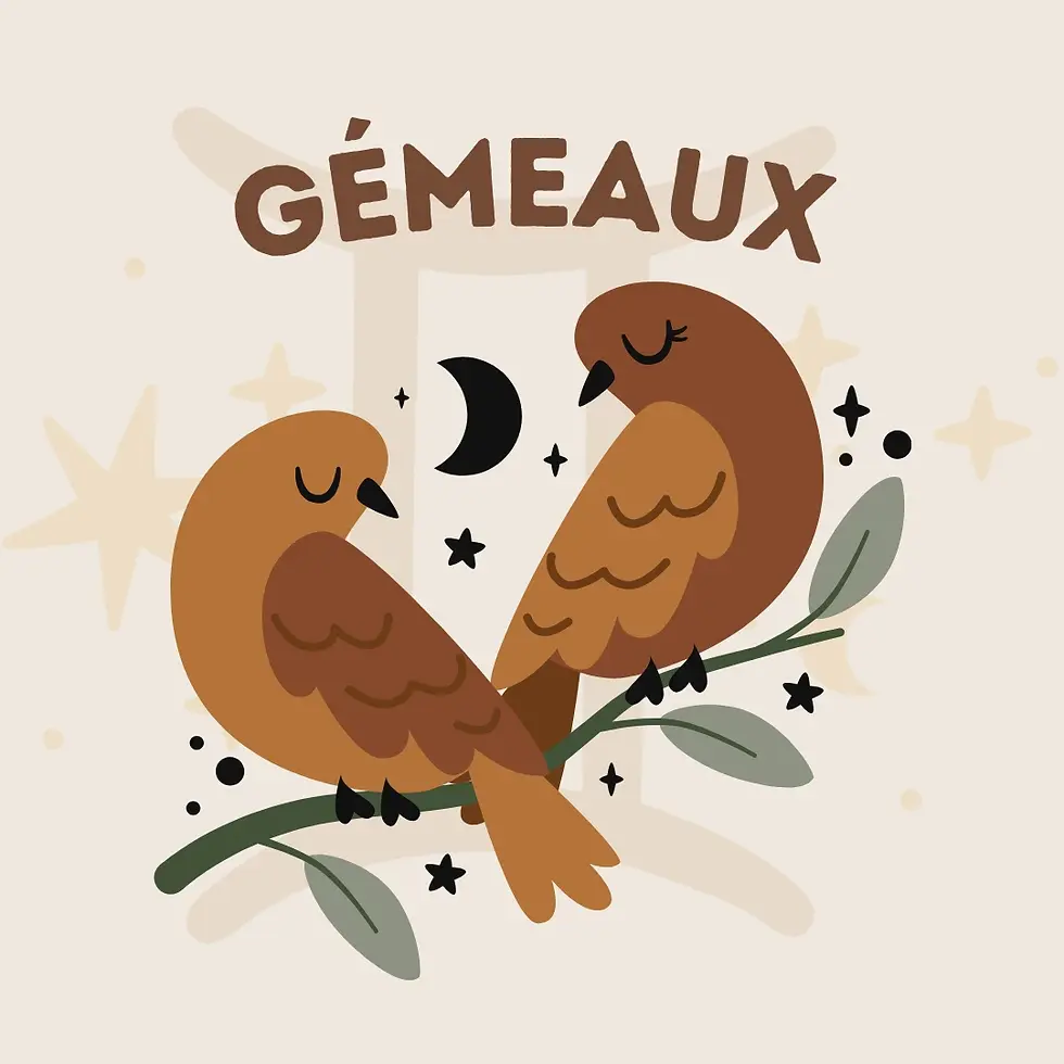 Symbole du zodiaque Gémeaux prénoms de bébé du signe des Gémeaux (Air)