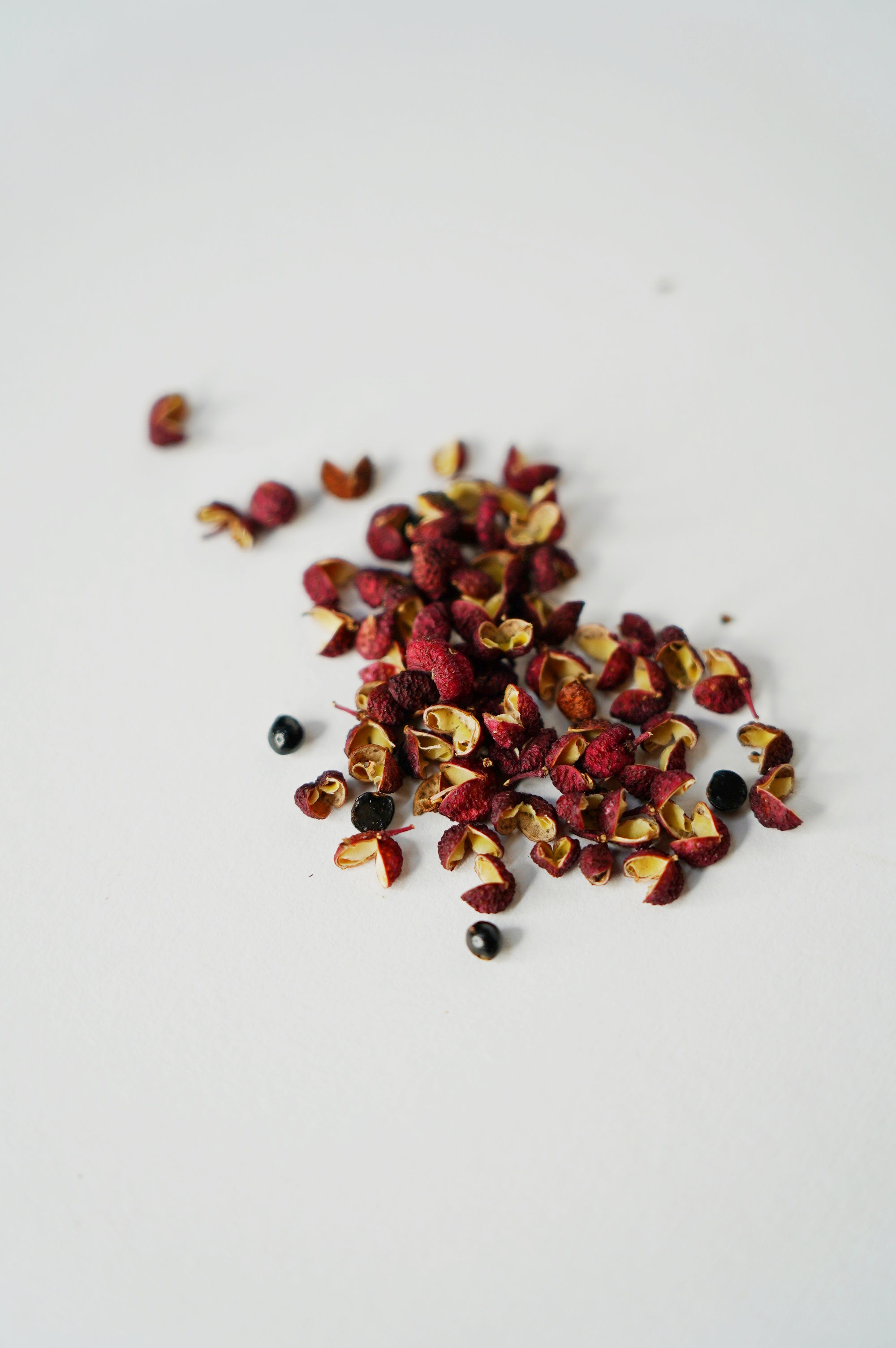 Szechuanpfeffer aus Eigenanbau