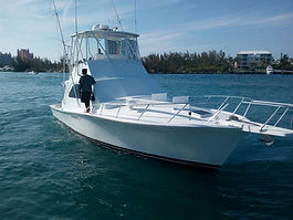 Yellowtail 2