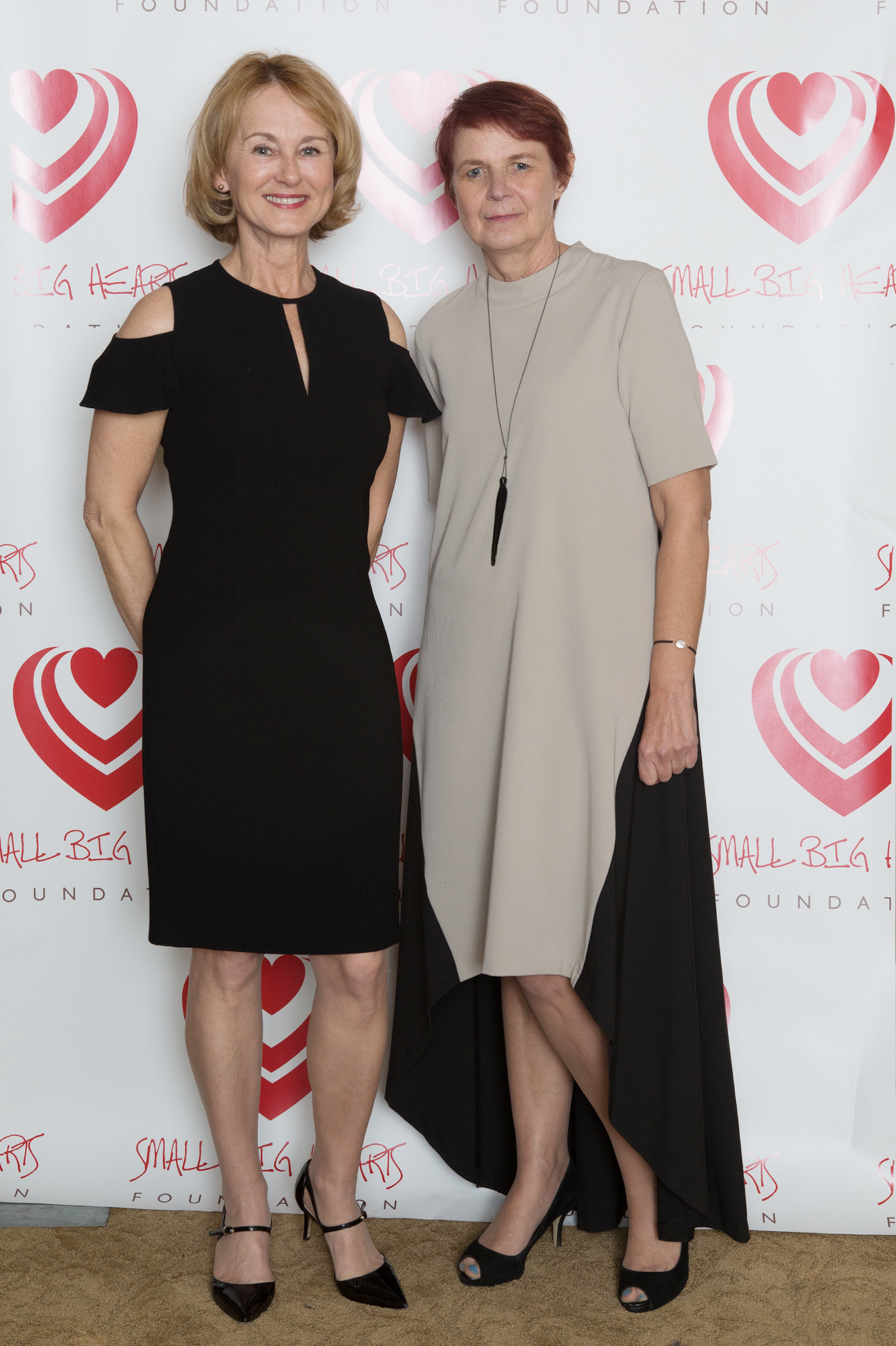 Small_Big_Hearts_ball2018112