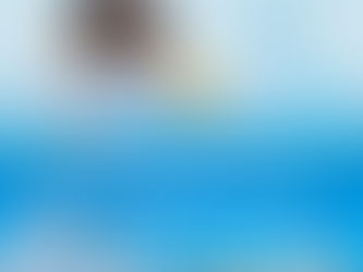 “OLHAR, PERCEBER E PRESERVAR... LENDO A CIDADE, APRENDENDO A CUIDAR”