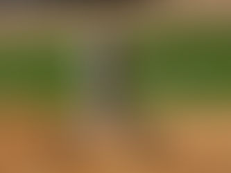 Focus on the Process