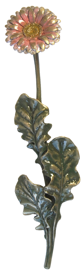 Evigvarende blomst til gravsteinen.