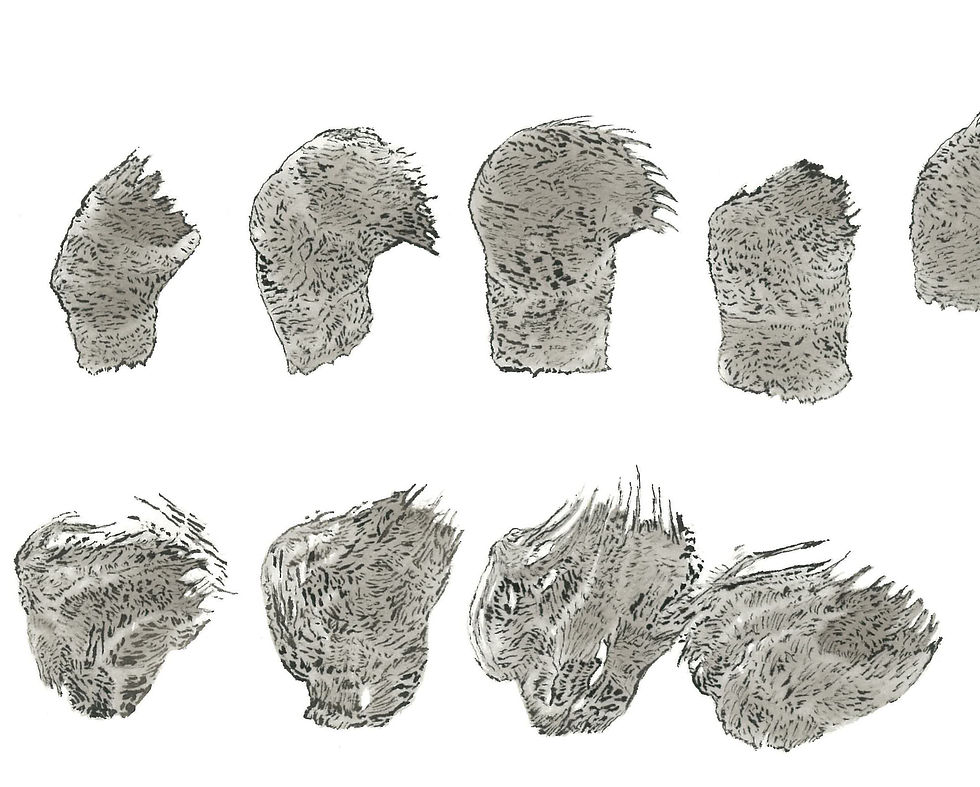 Movement Investigation (detail)