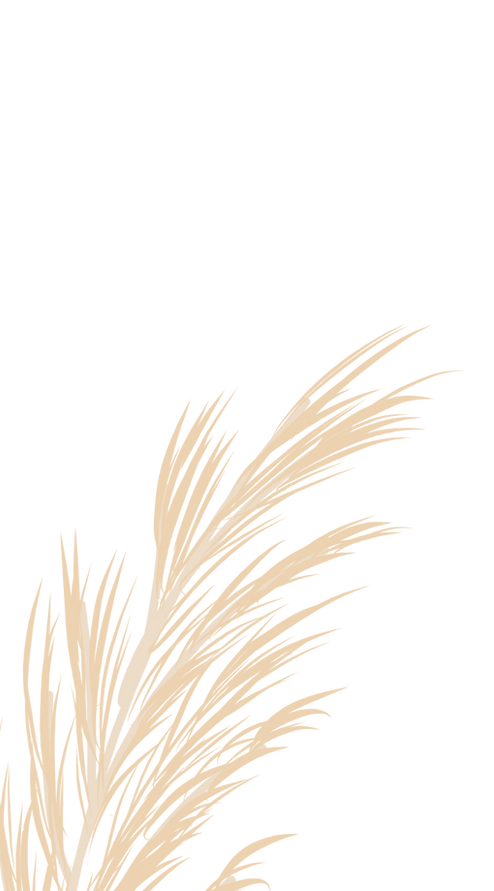 banner support image