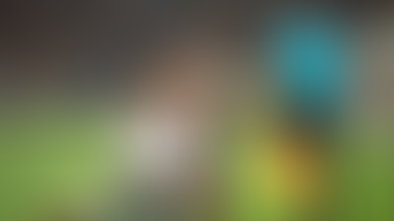 Da 3ª divisão aos títulos continentais: Conheça o projeto que mudou a história do Lanús, carrasco do Flamengo na Recopa