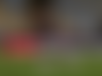 Com golaço de Leo Fernández, Fluminense vence Cruzeiro pelo Brasileirão e entra no G-4