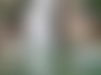 Chega a 10 o número de mortos na tragédia em Capitólio-MG