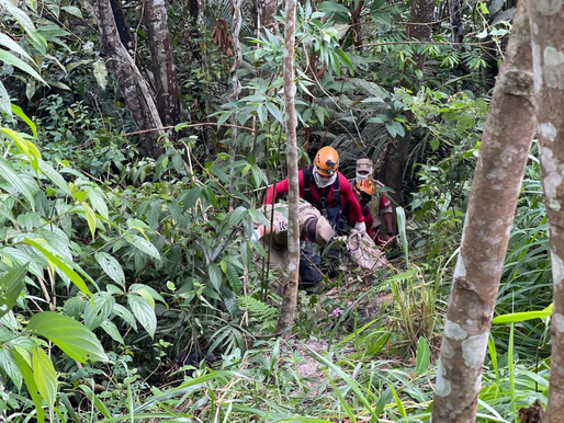 Professora é encontrada morta com sinais de estrangulamento em área de mata no Nova cidade