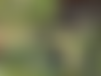 Jovens ribeirinhos de comunidades tradicionais no Amazonas, viram "repórteres da floresta"