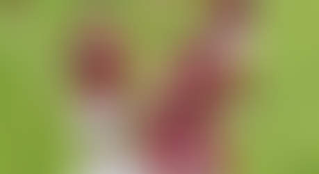 Flamengo vence o Grêmio e faz a final da Copa do Brasil com o São Paulo