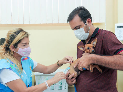 Campanha de Vacinação Antirrábica da prefeitura segue na zona Sul e inicia programação na zona Oeste