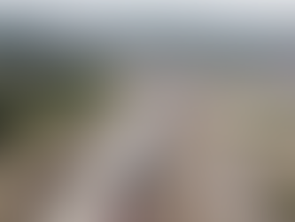 Ministério Público Eleitoral orienta Bi Garcia e autoridades de Parintins sobre distribuição de bens e serviços em período de calamidade