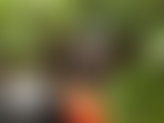 Mulher morre após ser atingida por raio em acampamento, no município de Novo Airão, interior do Amazonas